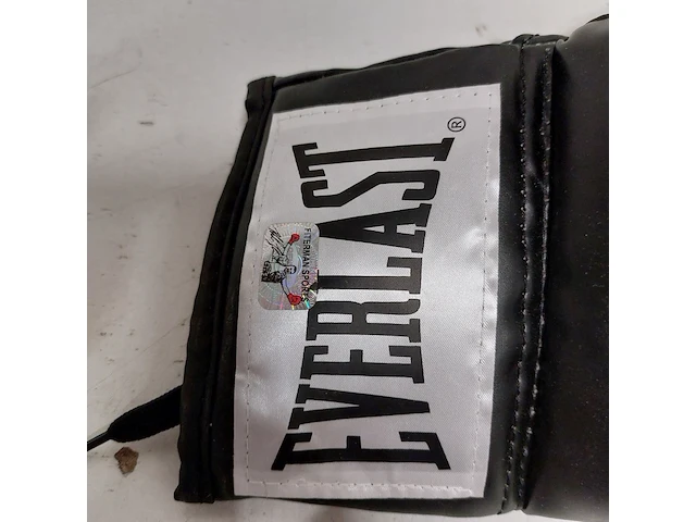 Gesigneerde bokshandschoen " mike tyson ", everlast - afbeelding 3 van  6