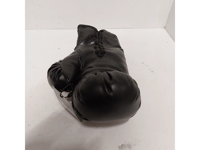 Gesigneerde bokshandschoen " mike tyson ", everlast - afbeelding 6 van  6