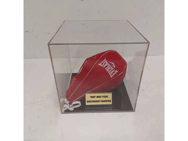 Gesigneerde bokszak " mike tyson ", everlast - afbeelding 1 van  7