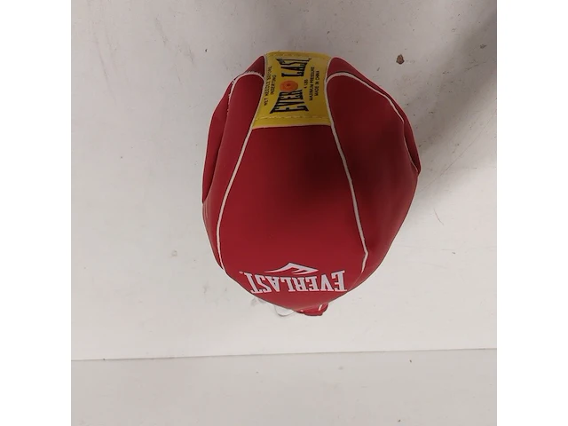 Gesigneerde bokszak " mike tyson ", everlast - afbeelding 3 van  7