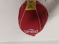 Gesigneerde bokszak " mike tyson ", everlast - afbeelding 3 van  7