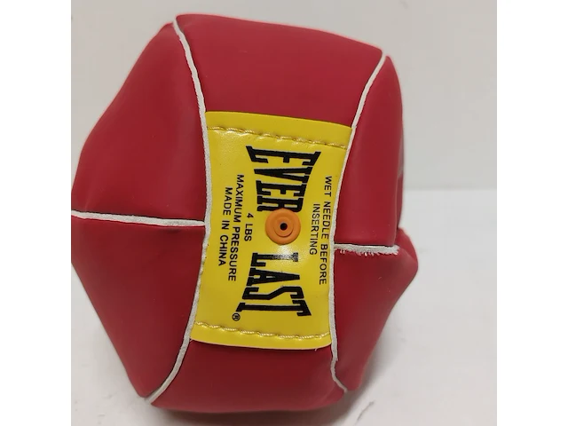 Gesigneerde bokszak " mike tyson ", everlast - afbeelding 4 van  7
