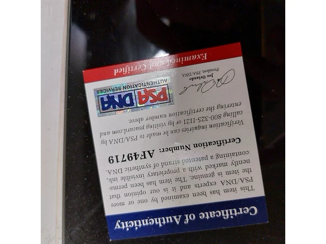 Gesigneerde bokszak " mike tyson ", everlast - afbeelding 7 van  7