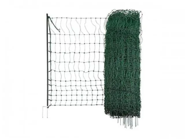 Gevogeltenet kerbl, 292279, groen - afbeelding 1 van  4