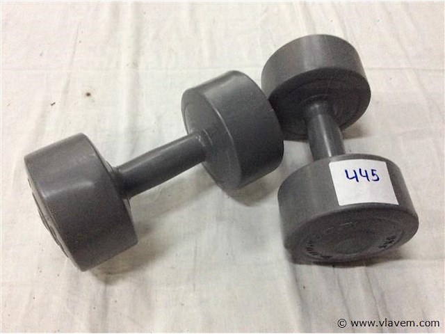 Gewichten 5kg 2stuks - afbeelding 1 van  2