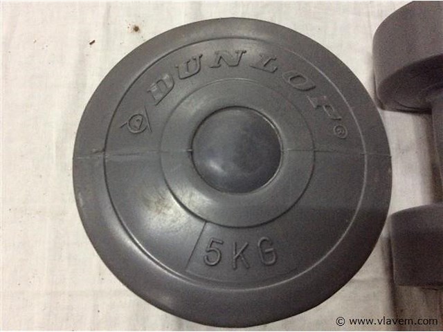 Gewichten 5kg 2stuks - afbeelding 2 van  2