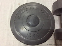 Gewichten 5kg 2stuks - afbeelding 2 van  2