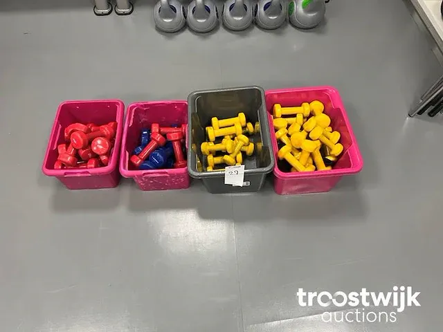 Gewichten - afbeelding 4 van  5