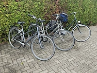 Giant - koga - ranger damesfiets (3x) - afbeelding 1 van  15