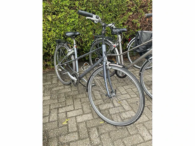 Giant - koga - ranger damesfiets (3x) - afbeelding 8 van  15