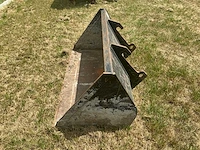 Giant graafbak - afbeelding 2 van  5