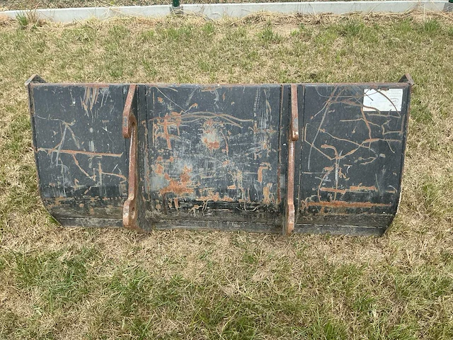 Giant graafbak - afbeelding 3 van  5