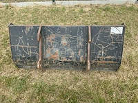 Giant graafbak - afbeelding 3 van  5