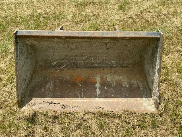 Giant graafbak - afbeelding 4 van  5