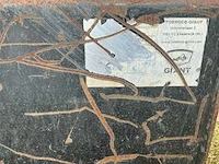 Giant graafbak - afbeelding 5 van  5