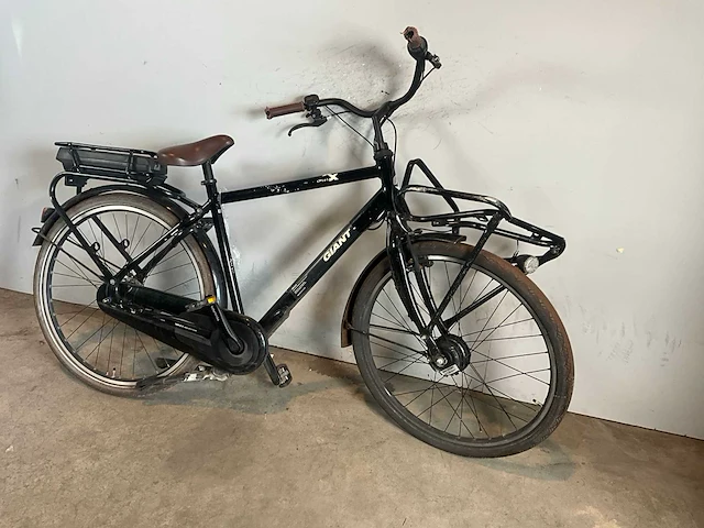 Giant triplex elektrische fiets - afbeelding 1 van  11