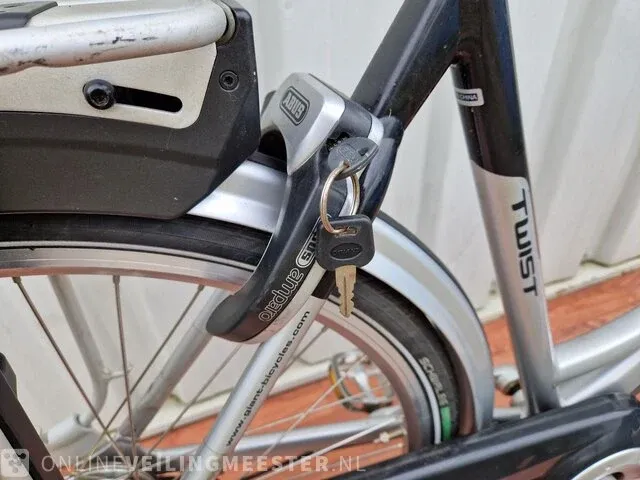 Giant, twist hybrid go e-bike/ elektrische fiets giant, zilver-zwart - afbeelding 8 van  11