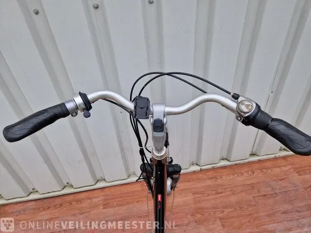 Giant, twist hybrid go e-bike/ elektrische fiets giant, zilver-zwart - afbeelding 10 van  11