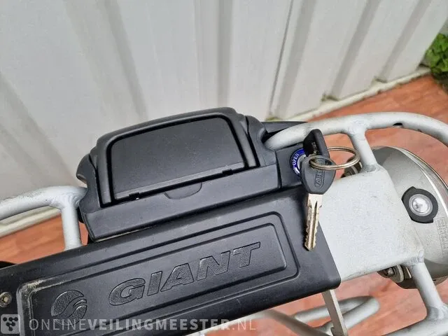 Giant, twist hybrid go e-bike/ elektrische fiets giant, zilver-zwart - afbeelding 11 van  11