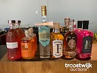 Gin - afbeelding 1 van  9