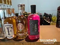 Gin - afbeelding 4 van  9