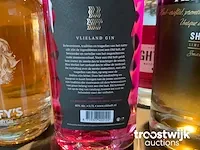 Gin - afbeelding 9 van  9