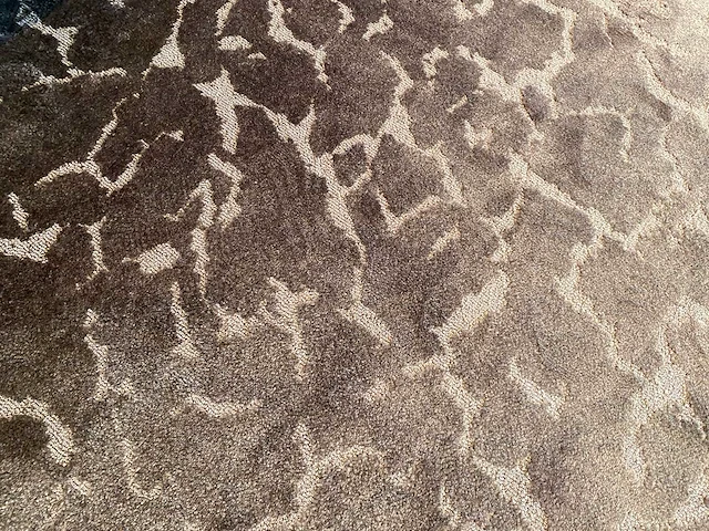 Giselle vloerkleed 300x400 cm - afbeelding 2 van  2