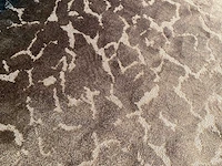 Giselle vloerkleed 300x400 cm - afbeelding 2 van  2