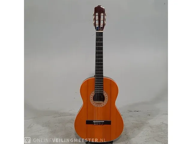 Gitaar amuse, mg005 - afbeelding 1 van  8