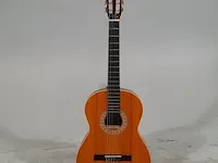 Gitaar amuse, mg005 - afbeelding 1 van  8