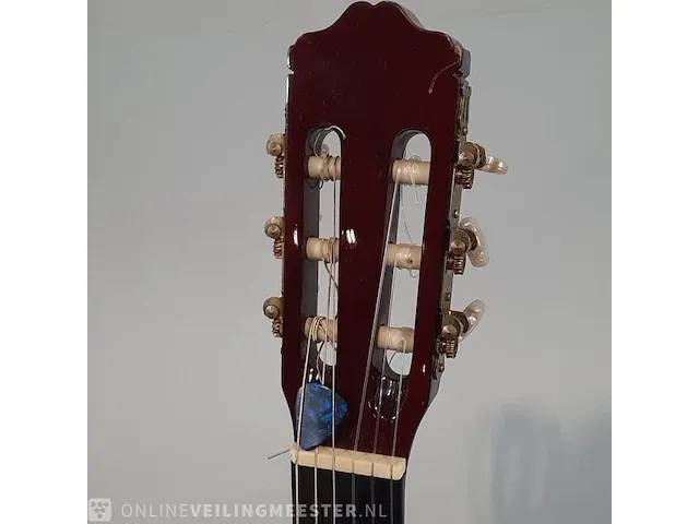 Gitaar amuse, mg005 - afbeelding 2 van  8