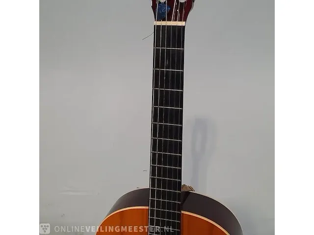 Gitaar amuse, mg005 - afbeelding 3 van  8