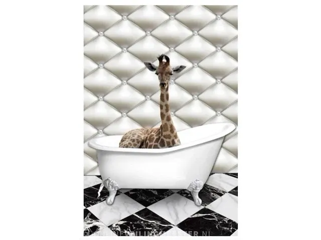 Glasschilderij giraffe 80x120 - afbeelding 1 van  3