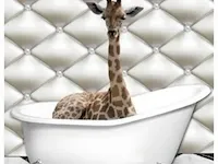Glasschilderij giraffe 80x120 - afbeelding 1 van  2