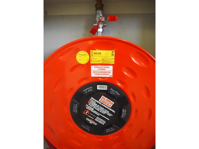 Gloria smeba - afbeelding 4 van  4