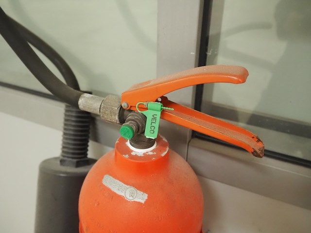 Gloria smeba - afbeelding 4 van  4