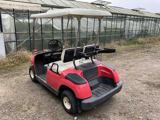 Golfkar (3x) 2005 yamaha g225; textron txtpds; rym pro - afbeelding 9 van  26