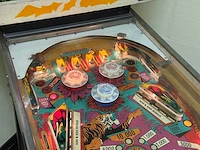 Gottlieb - junglequeen - flipperkast - afbeelding 10 van  10
