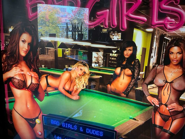 Gottlieb bad girls flipperkast freeplay - afbeelding 6 van  18