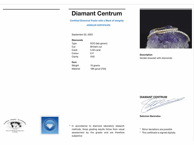 Gouden armband met briljant geslepen diamanten 5.50 carat - afbeelding 4 van  10