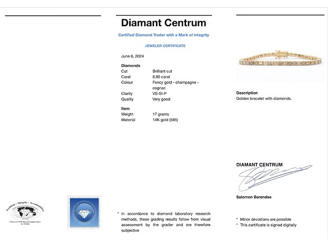 Gouden armband met diamanten 8.80 carat - afbeelding 3 van  12