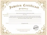 Gouden broche met diamanten - afbeelding 3 van  8