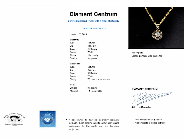 Gouden hanger diamant - afbeelding 3 van  8