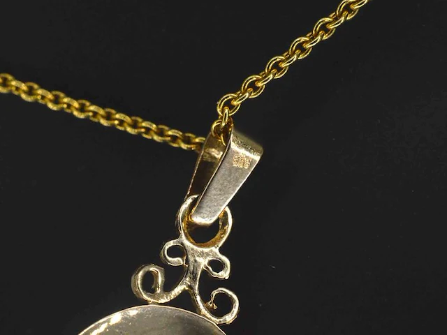 Gouden hanger met bloedkoraal excl. ketting - afbeelding 6 van  9