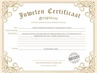 Gouden oorbellen met diamanten - afbeelding 3 van  8