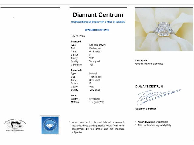 Gouden ring met éen grote diamant van 6.00 carat en twee triangel geslepen diamanten - afbeelding 7 van  13