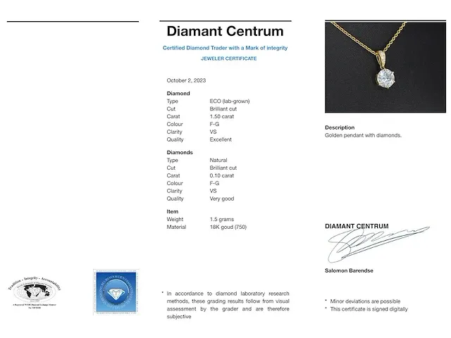 Gouden solitaire hanger met een diamant van 1.50 carat - afbeelding 3 van  6