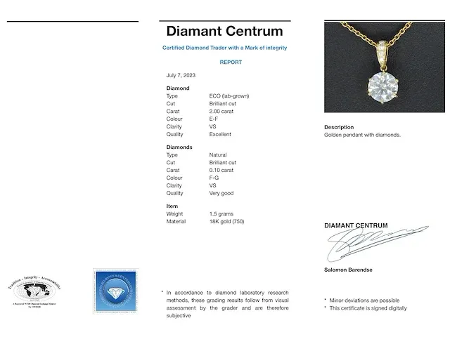 Gouden solitaire hanger met een diamant van 2.00 carat - afbeelding 3 van  7