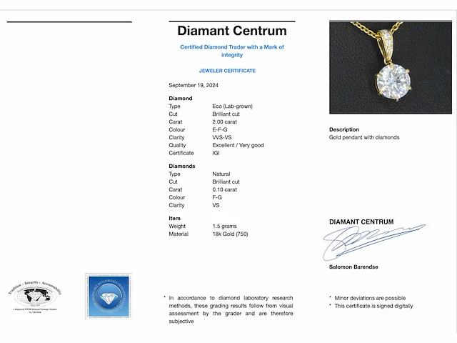 Gouden solitaire hanger met een diamant van 2.00 carat - afbeelding 3 van  7