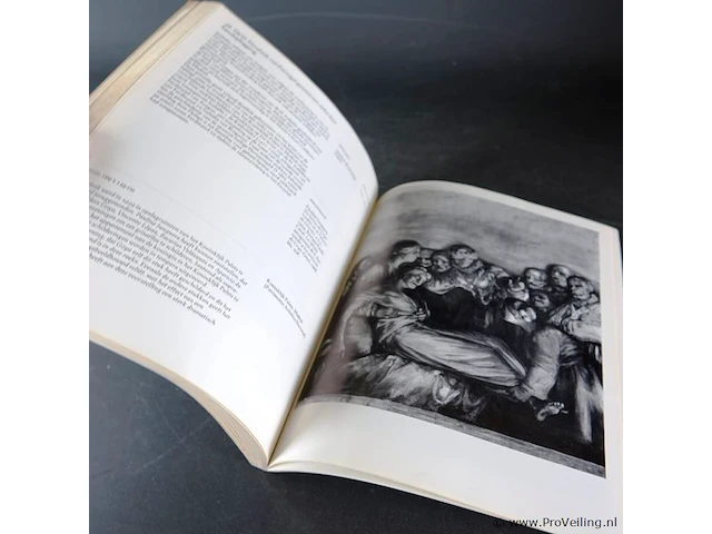 Goya - afbeelding 3 van  4